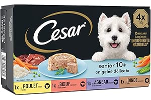CESAR Repas pour Chien Senior - 24 Barquettes (Lot de 6 Packs 4x150g) - Pâtée pour Chien en Gelée - Dinde / Boeuf / Poulet / Agneau - Nourriture Complète & Equilibrée avec des Ingrédients Naturels