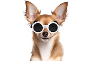 NAMSAN Hund Brille für Kleine Hunde Hunde Sonnenbrille mit Rundem Rahmen Windschutzbrille UV-geschützt Schutzbrille für Kleine Hunde - Weiß