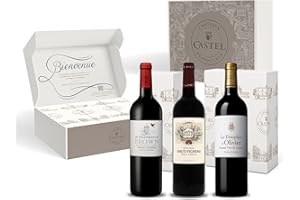 CASTEL CHATEAUX GRANDS CRUS Coffret Cadeau - Vin Rouge - Coffret Grands Vins de Pessac Leognan : Chateau Haut-Vigneau - Colombier de Brown - Le Dauphin d'Olivier - 3x75cl