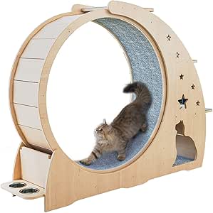 kitty hamster wheel