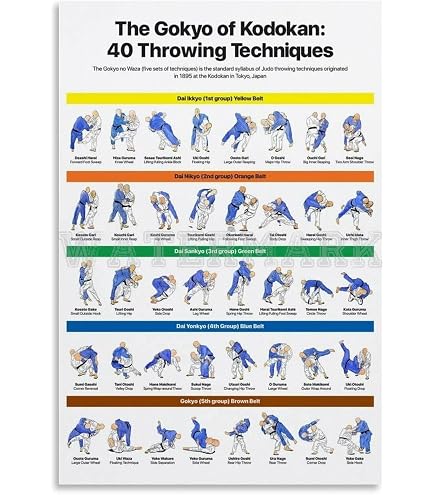 Poster Métal Judo Techniques Vintage - Décoration Murale Gym Arts Martiaux 20,3x30,5cm