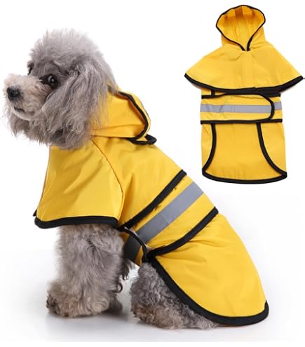 Coole Hunde-Regenjacke Mit Tier-Motiv – Wasserdicht, Praktisch & Mit Leinenloch Für Kleine Bis Große Hunde