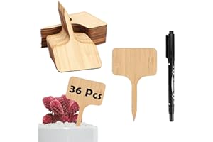 KINGOVALLEY Lot de 36 étiquettes en bambou pour plantes de jardin, 10 x 6 cm, étiquettes durables en forme de T, étiquettes pour potager de jardin, serre, pot de graines, fleurs, herbes