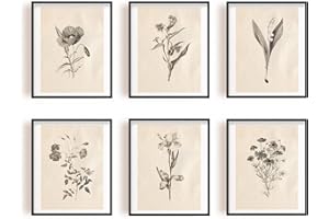 INFUNLY 6pcs Vintage Plants Wall Art Prints Set Botanical Pictures Poster 8"×10" Boho Floral Artwork Decor Unframed Canvas Poster Prints Aesthetic Wall Art for Bedroom Kitchen Living Room Home