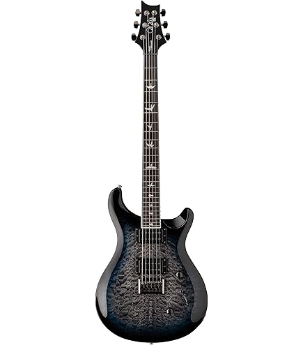 Paul Reed Smith SE Singlecut ギグバッグ付き Paul Reed Smith SE Singlecut ギグバッグ付き 楽器・機材