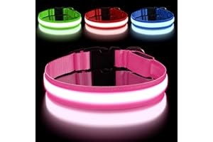 AUAUY Collier Lumineux LED Rechargeable pour Chien, avec Port Type-C, Collier LED Chien Réglable avec 3 Modes D'éclairag, Imperméable, pour Petits, Moyens et Grands Chien (M, Rose)