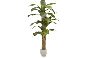 MAIA SHOP Banano artificiale 180 cm, pianta finta grande da interno con tronco naturale, albero decorativo realistico per casa ufficio hotel