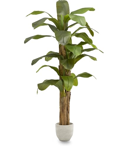 ATMOSPHERA - Stelo Di Canna Decorativo Artificiale Colore Bianco Avorio, Altezza 91 Cm, Per Arredamento Moderno.