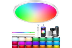 Rawhui Plafonnier LED Chambre Dimmable 24W, 3400LM Intelligent Lampe Plafond RGB Compatible avec Alexa et Google, Télécommande&App Contrôle, 30cm Éclairage de Plafond Rond pour Salon, Cuisine