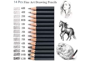 Malayas - Set di matite da disegno, 14 matite da disegno, 12B, 10B, 8B, 7B, 6B, 5B, 4B, 3B, 2B, B, HB 2H, 4H, 6H, grafite per bambini, adulti, artisti, principianti, professionisti