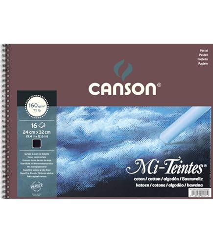 CANSON MI-TEINTE Paquet De 25 Feuilles Mi Teintes, Format 50x65 Cm Vert
