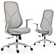 Daqian Office Chair Ergonomic Home Office Chair Computer Desk Chairs with Lumbar Support Breathable Mesh Executive Swivel Chair (Elegant Grey)