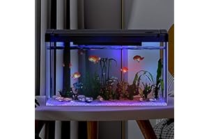 Crevyteg 12L Aquarium mit Filter und Licht, Rechteckiges Aquarium mit Filter und Sauerstoffzufuhr, LED-Licht, Mini Fischtank Tischdekoration für Zuhause, Büro, Wohnzimmer