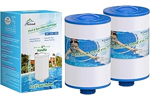 TOREAD - Lot de 2 filtres de Remplacement pour Spa Unicel 6CH-940, PWW50P3 (Pas PWW50P4), Filbur FC-0359, 817-0050, 25252, 03FIL1400 - Filetage SAE 3,8 cm