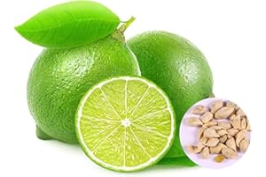 Benoon Graines De Citronnier, 20pcs Graines De Citronnier Productives Non-OGM Pots De Patio Viables Semis D'arbres Pour L'horticulture Graines de citronnier