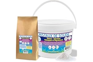 HYDROPLANETE Cristalli di soda puri al 100%, 500 g, 1 kg, 2 kg, 5 kg, 10 kg, detergente multiuso ecologico, soluzione naturale per la casa