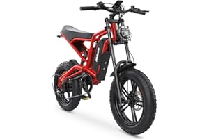 BEWELL Electric-Bikes-Adults E-Bikes for Men - 250W Motor Off-Road Fat Tire Ebike with 12.5Ah 48v Battery 25Km/h Electric-Dirt-Mountain-Bike with Leather Bags