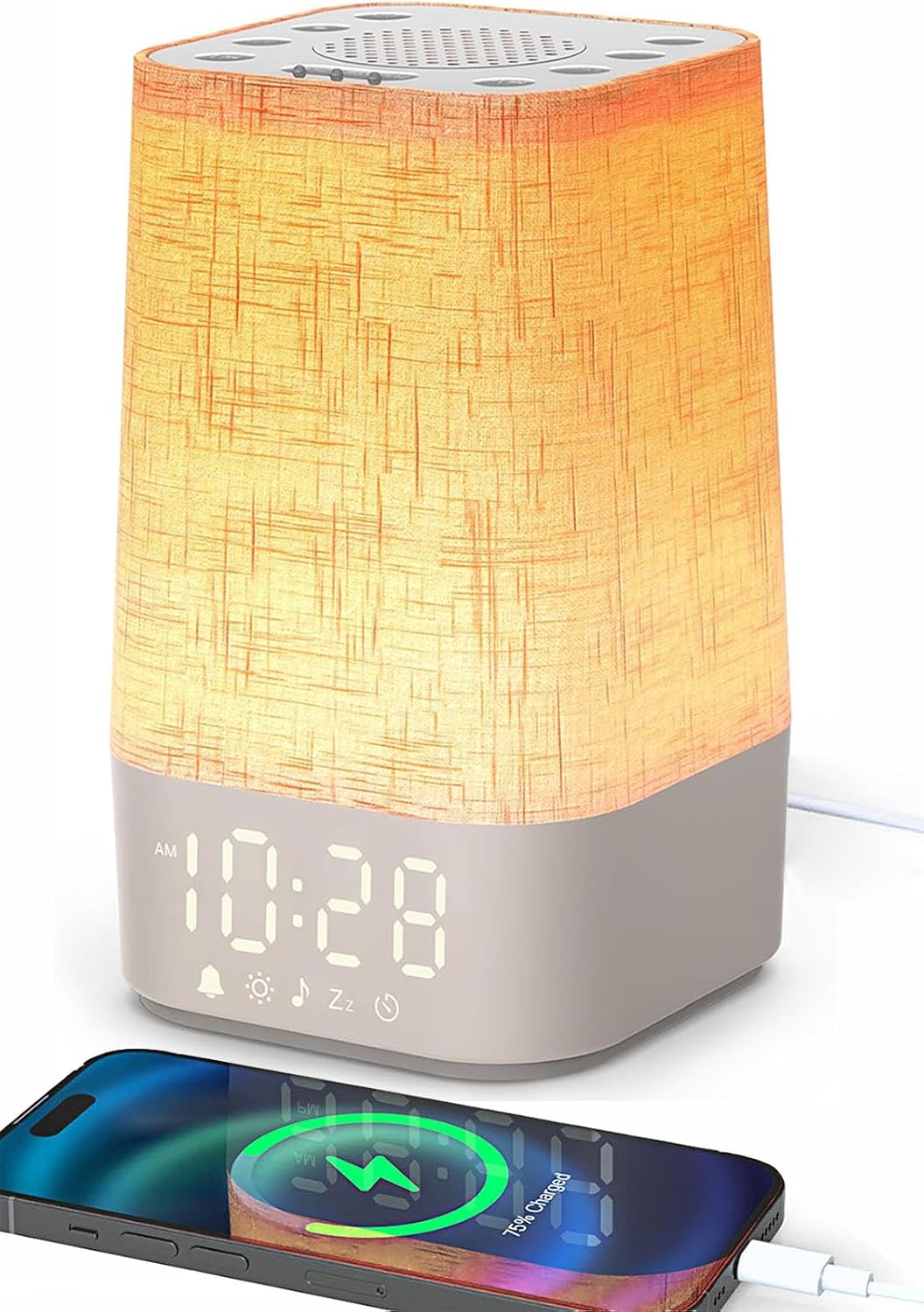 Vue 11