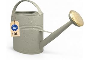 ‎LIVLIG53 Gießkanne 10l, Gießkanne Metall für Garten & Balkon, Hochwertige Giesskanne 10 Liter aus verzinktem Metall, Gießkanne mit abnehmbarer Brause, Gießkanne retro mit Messingbrause, Gießkanne Grün