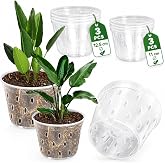 6 Transparent Orchid Pots 11 cm and 12.5 cm for Plastic Phalaenopsis | Drainage 360&deg; Prevents Root Rt, Lightweight Non-Toxic