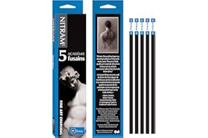 Nitram 807173 Charbon de bois