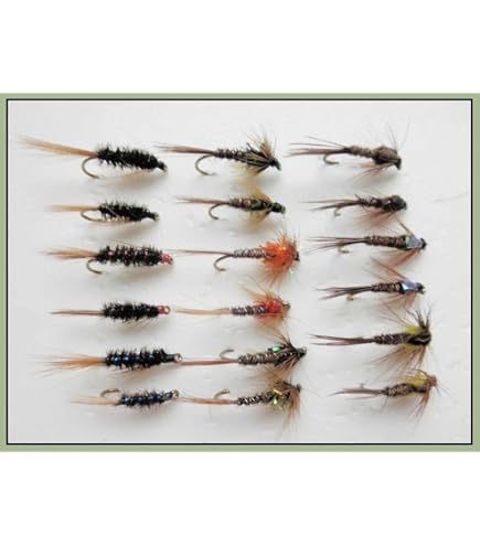 Flies Nymph Set Fishing | Types Flies Fishing Set | Box Flies Fly Fishing Set - 72pcs