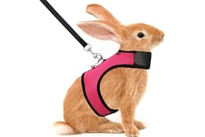 VavoPaw Set di Imbracatura e Guinzaglio per Piccoli Animali con Strisce Riflettenti e Campanellino, Regolabile Imbracatura per Coniglio Criceto per Passeggiate di Piccoli Animali, Taglia XS, Rosa