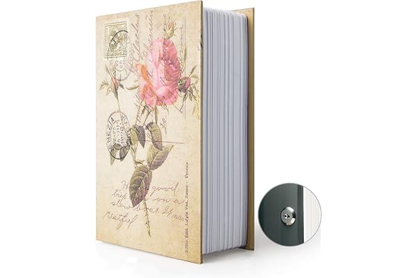 Boîte de rangement pour livre de détournement, coffre-fort secret pour dictionnaire avec serrure/clé à combinaison de sécurité, coffre-fort caché pour livre de détournement (Rose-Clé)