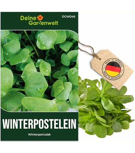 knstlicher olivenbaum wie echt Knstlicher Olivenbaum, ca. 120 cm  Schweng Shop
