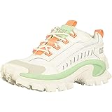 cat intruder pirate black