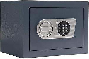 Profirst Armoire forte EN0 Trema 26 serrure électronique feuillure anthracite lxh 37x27cm tablette amovible matériel de fixation inclus