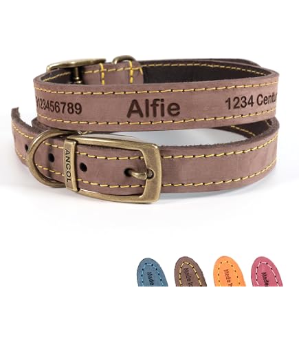Karlie Halsband Rondo Mit Rundkopfnieten – Vollleder, Natur, 32 Cm Länge, 22 Mm Breite