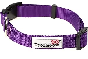 Doodlebone Dog Collar, Violet, 1-2