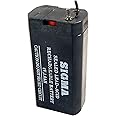 Gloerzz Rechargeable 4Volts 1Ah Sealed Lead-Acid Battery for Multi Purpose Use (1)