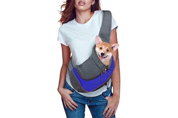 dog body holder
