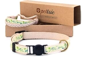 Pettsie Ensemble collier pour chat - Coffre-fort - Bracelet d'amitié assorti - Boîte cadeau adaptée aux animaux de compagnie - Coton doux pour un confort ultime - Réglable facilement - 19-29 cm - Vert