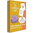 Collins Little Wandle at Home Phonics Flashcards for Year 1