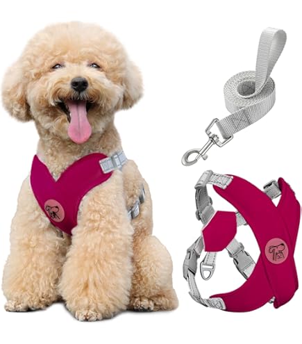 Set Pettorina E Guinzaglio In Vera Pelle - Per Cani Piccoli E Medi, Addestramento, Passeggiate - Foto 8