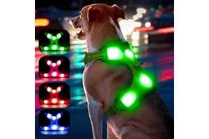 YFbrite Podświetlana uprząż dla psa – uprząż dla psa LED ładowana przez USB, odblaskowa uprząż dla psa, oświetlenie dla psa, wygodna regulowana uprząż dla psa, oddychająca, migająca uprząż dla psa (zielona, duża)