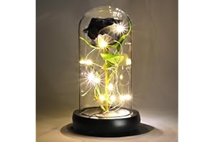 TECHSHARE Mothers Gifts for Mum, Light Up Black Rose In A Glass Dome is a Unique Gifts for Girlfriend, Mum, Women, Wife on Valentines Day, Mothers Day, Christmas, Birthday, Anniversaries, etc