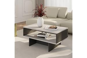 [en.casa] Tavolino da Salotto (AxLxP): 36,4 x 80 x 45 cm Tavolino Basso da Divano Tavolino a 2 Piani di Appoggio Rettangolare - Bianco/Antracite