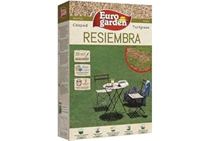 Eurogarden - Sobre de Semillas de Césped Resiembra, 1 kg - 4457