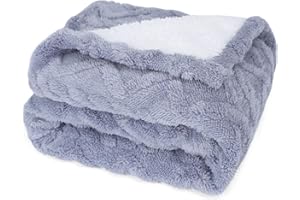 Nobleza Coperta Impermeabile per Cani, Morbida Coperta in Pile per Cani di Piccola e Media Taglia, Gatti, L 127 x 100 cm, Coprisedile Reversibile, Lavabile in Lavatrice, Azzurro