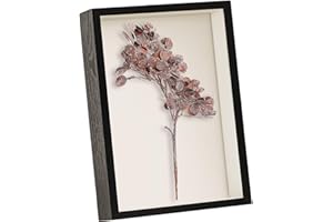FAVORTALK Picture Frames A4 Box Frame - Deep Photo Frame 21X29.7 Picture Frame Shadow Box 3D for Wall Hanging or Desktop for Flowers (Black431,Depth 5cm)
