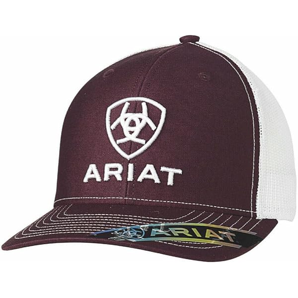 Cappellino ARIAT Semi-Curvo Per Ragazzi Con Logo Patch – Grigio, Chiusura Snapback E Retro In Rete (Taglia Unica) - 4