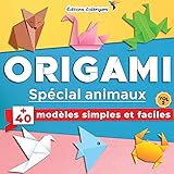 Amazon Fr Origami Pour Halloween 10 Modeles D Origami Faciles Creatifs Et Amusants Pour Tous Y Compris Les Enfants Et Les Debutants Gigandet Stephane Livres