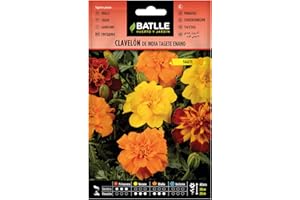 SEMILLAS BATLLE Batlle OEILLET D’Inde TAGETE Nain