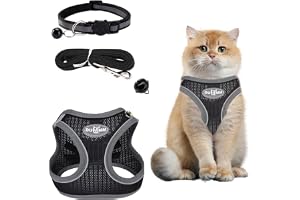 Kattsele med koppel, går inte sönder, justerbar kattsele