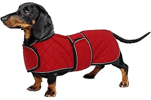 Geyecete - Warmer wintermantel für dackel Hunde,Hunde winterjacken mit plüschfutter,Outdoor jacken mit verstellbaren gürtel und Kabelbaumloch ,für mittelgroße und Kleiner dackel-Rot-M