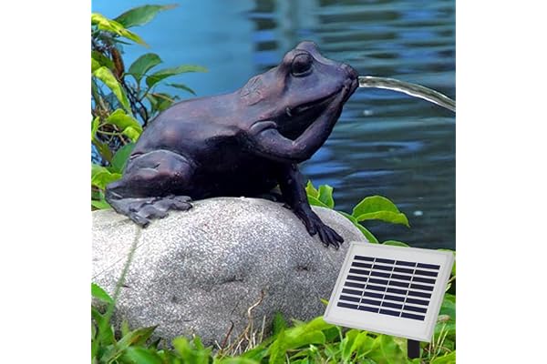 Jet d'eau pour Bassin avec Pompe Solaire Grenouille sur la Pierre - Sujet Cracheur pour Donner Vie à Votre Bassin de Jardin